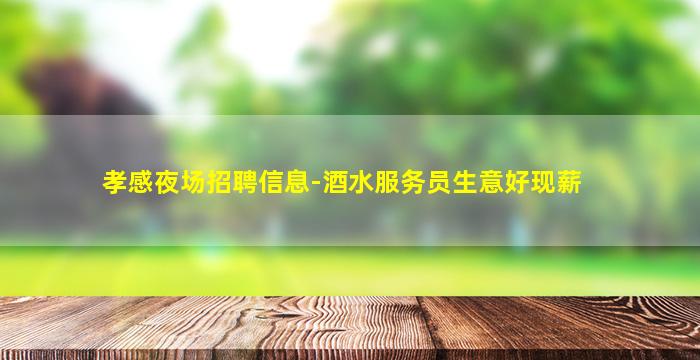 孝感夜场招聘信息-酒水服务员生意好现薪